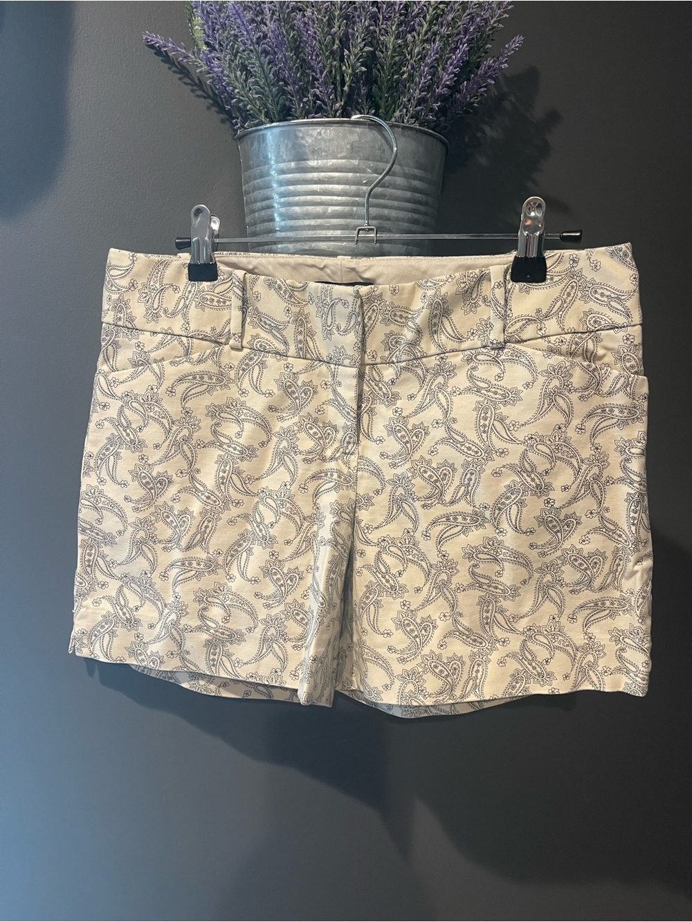 The Limited Classic Cream Paisley Women’s Shorts